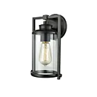 Applique murale extérieur ELK Home Frampton 46080-1 60W 1 lumière bronze vieilli