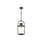 Suspendu d'extérieur ELK Home Wexford 46672-1 100W 1 lumière noir mat