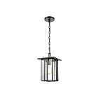 Suspendu d'extérieur ELK Home Radnor 46693-1 100W 1 lumière noir mat