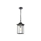 Suspendu d'extérieur ELK Home Lamplighter 46703-1 100W 1 lumière noir mat