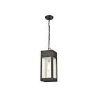 Suspendu d'extérieur ELK Home Angus 57303-1 60W 1 lumière charbon