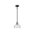 Mini suspendus ELK Home Orinoco 67915-1 60W 1 lumière noir mat