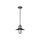 Suspendu d'extérieur ELK Home Coastal Farm 69375-1 60W 1 lumière charbon