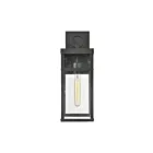 Applique murale extérieur ELK Home Dalton 69700-1 60W 1 lumière noir texturé