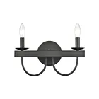 Lumière vanité ELK Home Williamson 75074-2 120W 2 lumières noir