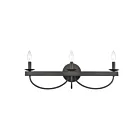 Lumière vanité ELK Home Williamson 75075-3 180W 3 lumières noir