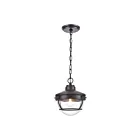 Suspendu d'extérieur ELK Home Eastport 83435-1 60W 1 lumière bronze huilé