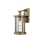 Applique murale extérieur ELK Home Brison 89390-1 60W 1 lumière laiton vintage