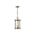 Suspendu d'extérieur ELK Home Brison 89395-2 120W 2 lumières laiton vintage