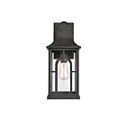 Applique murale extérieur ELK Home Triumph 89600-1 60W 1 lumière noir texturé