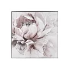 Table Petal Study ELK Home S0016-8164 rose