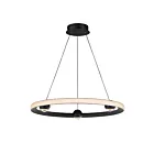 ET2 Lighting E23512-BK Nodes 1-Lumière 35W Noir Suspendu