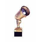 Lumière à projecteur directionnel LED Focus Industries DL-20-NL-BRS 9W laiton