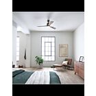 Ventilateur de plafond Kichler Ridley II 300027AP 17 Watt étain antique