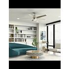 Ventilateur de plafond Kichler Brahm 300044BSS acier inoxydable brossé