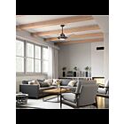 Ventilateur de plafond Kichler Iras 300241AVI enclume de fer
