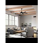 Ventilateur de plafond Kichler Iras 300241DBK noir en détresse