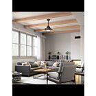 Ventilateur de plafond Kichler Iras 300241WZC zinc patiné