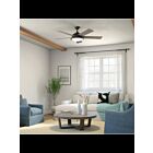 Ventilateur de plafond Kichler Verdi 310100OZ bronze ancien