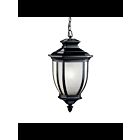 Suspendu extérieur Kichler Salisbury 9843BK 1-lumière 200W noir