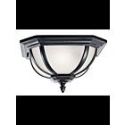 Plafonnier extérieur Kichler Salisbury 9848BK 2-lumières 60W noir