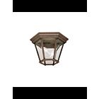 Plafonnier extérieur Kichler Madison 9850TZ 2-lumières 60W bronze tannery