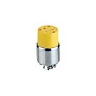 Leviton 520CA Connecteur de terre blindé 20A