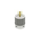 Leviton 5266-CG Prise grise-N5-15P
