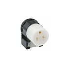 Leviton 5369-CA Connecteur coudé noir-N5-20R