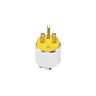 Leviton 615PA Prise de mise à la terre du bras 2P3W 15A 250V