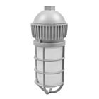 Luminaire avec cage LED Ledvance JELYJAR1A-010UNV740-PM-GR 10W