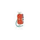 Leviton 4700-IG 15A 125V Réceptacle