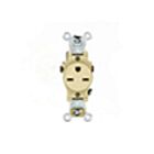 Leviton 5651-I 15A 250V Réceptacle