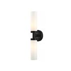 Livex Lighting Aero 10104-04 2-Lumières 120W Noir Luminaire de vanité