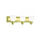 Livex Lighting 10503-02 Springfield 3-Lights 300W Laiton poli Luminaire de vanité