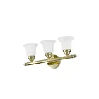 Livex Lighting 1063-02 Neptune 3-Lights 300W Laiton poli Luminaire de vanité