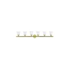 Livex Lighting 1066-02 Neptune 6-Lights 600W Laiton poli Luminaire de vanité