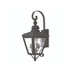 Livex Lighting Cambridge 2031-04 2-Lumières 120W Noir Lanterne murale