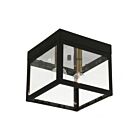 Livex Lighting Nyack 20588-07 2-Lumières 120W Luminaire de plafond