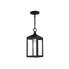 Livex Lighting 20591-04 Nyack 1-Lumière 100W Noir avec grappe en nickel brossé Luminaire Suspendu extrieur