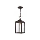 Livex Lighting 20591-07 Nyack 1-Lumière 100W Bronze avec grappe en laiton antique Luminaire Suspendu extrieur