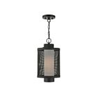 Livex Lighting 20687-14 Nottingham 1-Lumière 60W Noir texturé Luminaire Suspendu extrieur