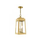 Livex Lighting 20857-12 Oslo 3-Lumières 180W Laiton satiné Luminaire Suspendu extrieur