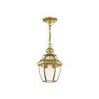 Livex Lighting 2152-02 Monterey 1-Lumière 100W Laiton poli Luminaire Suspendu extrieur
