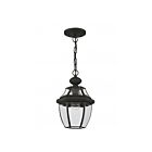 Livex Lighting 2152-04 Monterey 1-Lumière 100W Noir Luminaire Suspendu extrieur