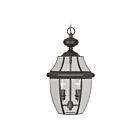 Livex Lighting 2255-04 Monterey 2-Lumières 120W Noir Luminaire Suspendu extrieur