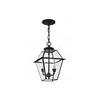 Livex Lighting 2285-04 Westover 2-Lumières 120W Noir Luminaire Suspendu extrieur
