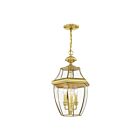 Livex Lighting 2355-02 Monterey 3-Lumières 180W Laiton poli Luminaire Suspendu extrieur