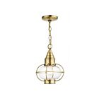 Livex Lighting 26910-01 Newburyport 1-Lumière 100W Laiton antique Luminaire Suspendu extrieur