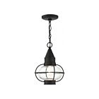 Livex Lighting 26910-04 Newburyport 1-Lumière 100W Noir Luminaire Suspendu extrieur